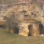 In Near Nature Reserve *