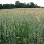 בית נופש In Near Nature Reserve Bemelen