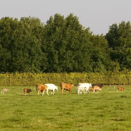 In Near Nature Reserve Bemelen