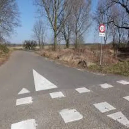 In Near Nature Reserve * Bemelen