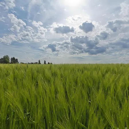 בית נופש In Near Nature Reserve
