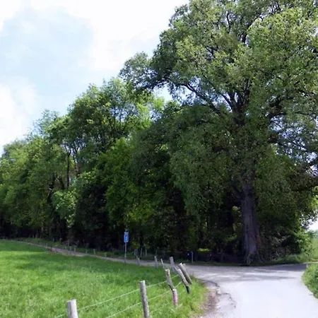 In Near Nature Reserve Dom wakacyjny Bemelen
