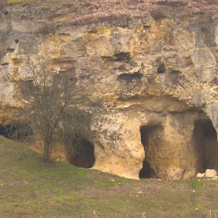 In Near Nature Reserve *