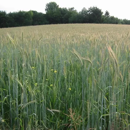 Dom wakacyjny In Near Nature Reserve Bemelen