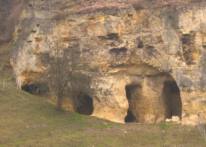 In Near Nature Reserve *