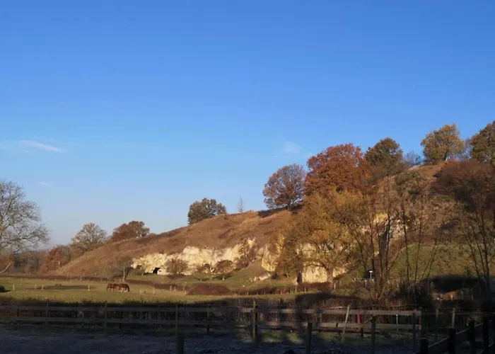 In Near Nature Reserve