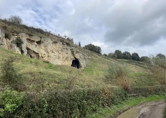 In Near Nature Reserve Ferienhaus Bemelen