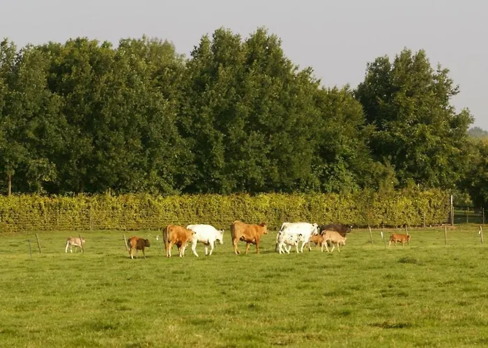 In Near Nature Reserve Bemelen