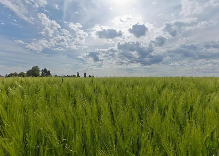 Prázdninový dům In Near Nature Reserve