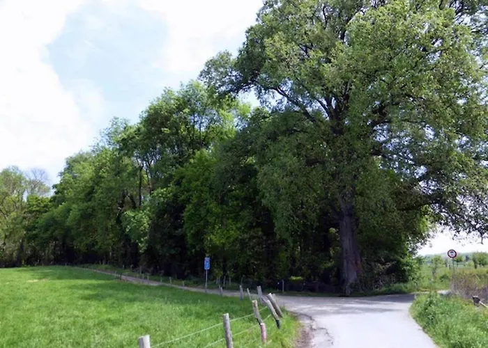 In Near Nature Reserve Prázdninový dům Bemelen